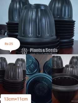 Plastic Pots (ප්ලාස්ටික් පොට්.)
