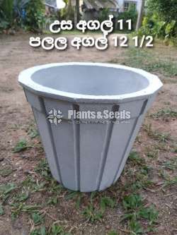 Titanium pots collection