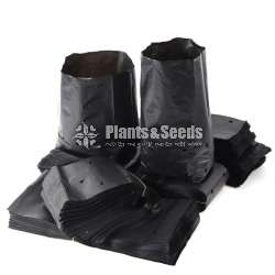 පොලීතින් කවර  ( Grow Bags )