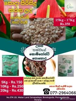 Keta wali (අන්තුරියම් කැට වැලි )