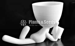 Reading Book, succulent pot, Vase for Home Office Decor, 