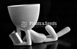 Reading Book, succulent pot, Vase for Home Office Decor, 