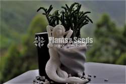 mermaid Flower Pot (Without Plant)