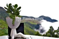 Stylish boy Flower Pot