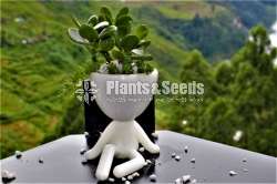 Stylish boy Flower Pot