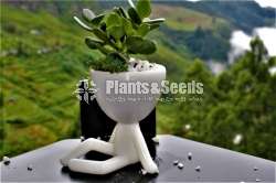 Stylish boy Flower Pot