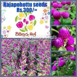 Flower Seeds (මල් ඇට )