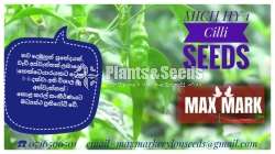 Chilli seeds Mich hy1 Miris  Gardening Agriculture මිරිස් 