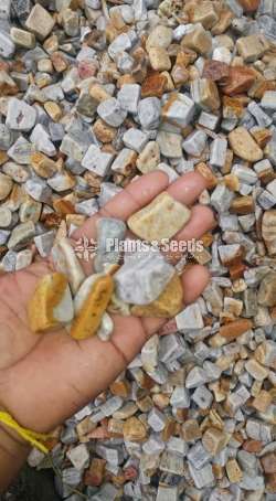 Fancy Stones (Pebbles)