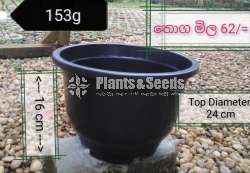 ප්ලාස්ටික් මල් පෝච්චි