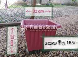 ප්ලාස්ටික් මල් පෝච්චි