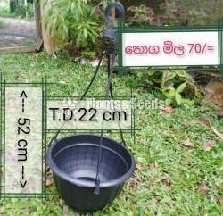 ප්ලාස්ටික් මල් පෝච්චි