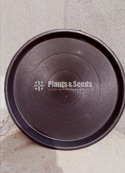 Under pot trays 