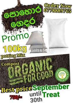 Potting Mix and Compost