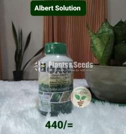 Albert Solution 
