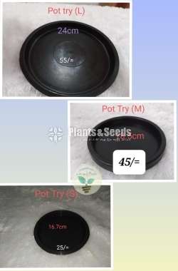 Pot Tray 