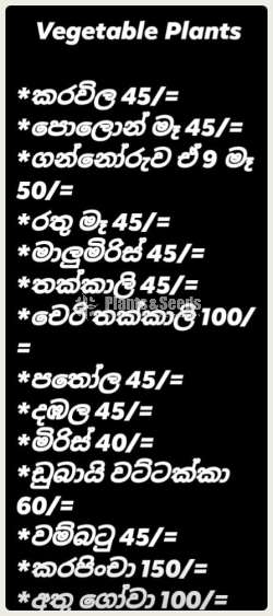 අඩුම මිලට එළවළු පැල (Vegetales Plants)