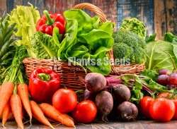 අඩුම මිලට එළවළු පැල (Vegetales Plants)
