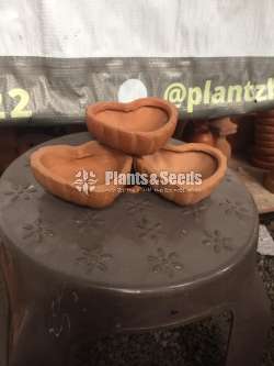 Clay pots