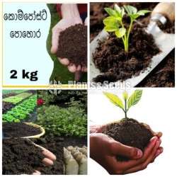 【Nutritious Coconut Products】