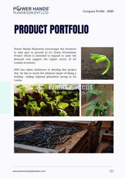 Vanilla plants investment high prof