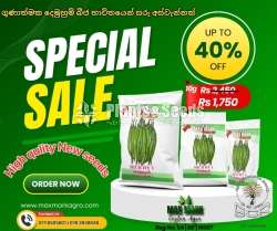 Chilli Seeds Mich hy1 Miris Hybrid 5g