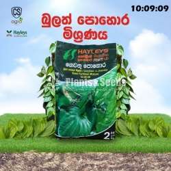 Hayleys Betel Fertilizer Mixture 10:09:09 2kg Home Gardening