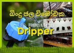 Dripper බිංදු ජල විමෝචක