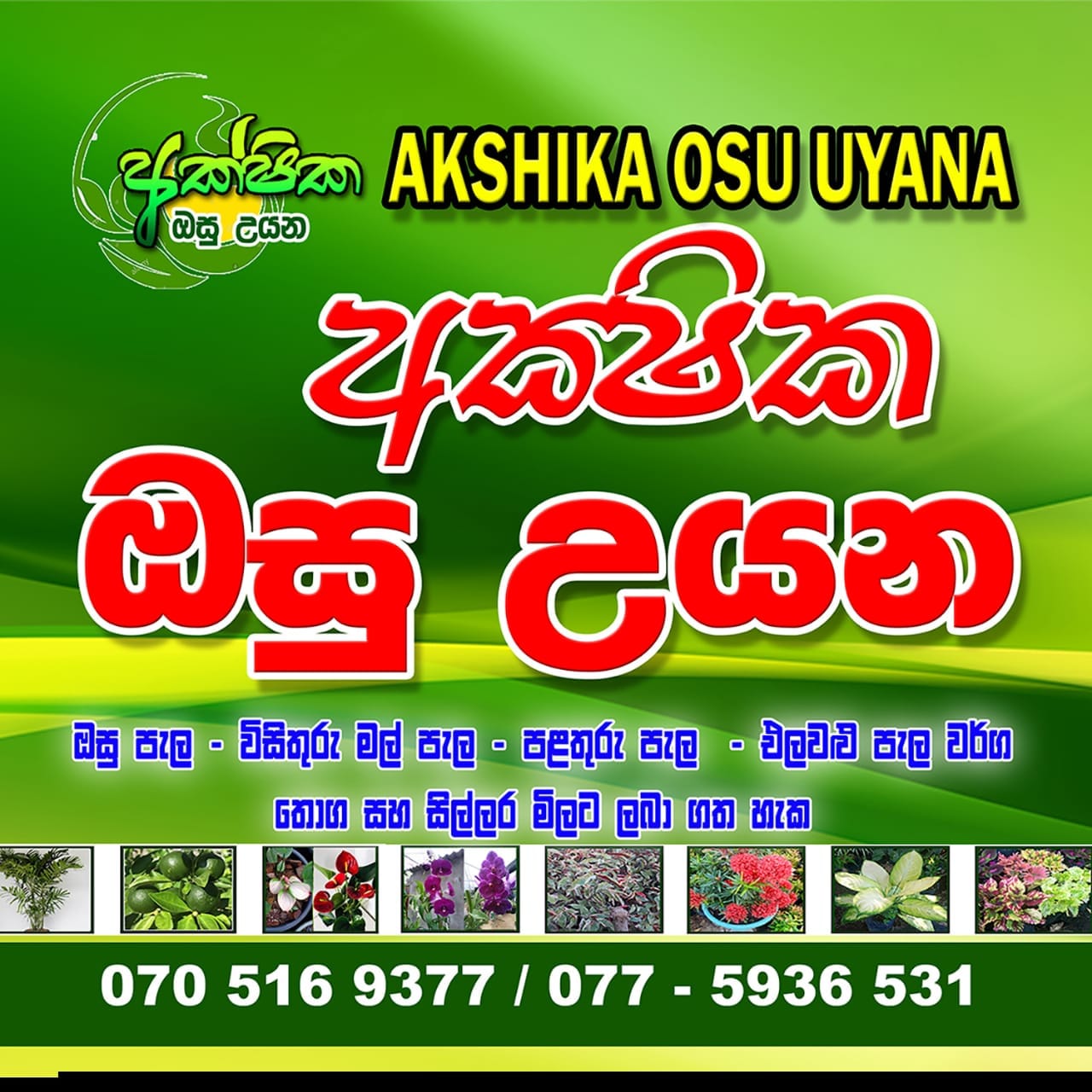Akshika ayurveda weda madura