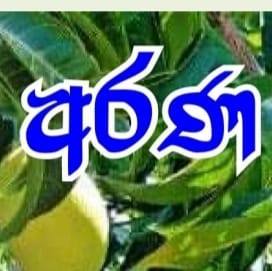 Arana Plant Nursery