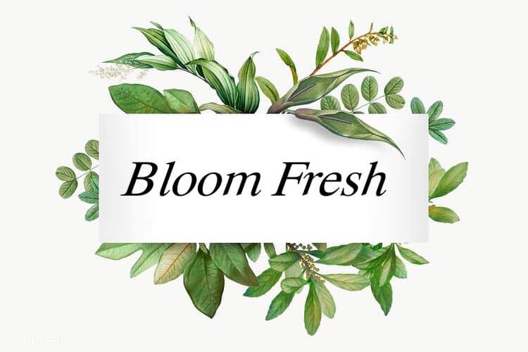 Bloom Fresh