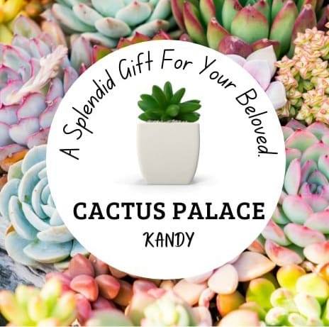 Cactus Palace Kandy