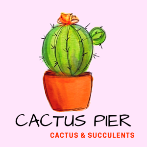 Cactus Pier