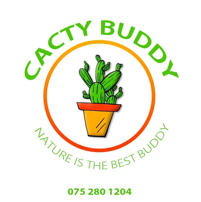 Cacty Baddy