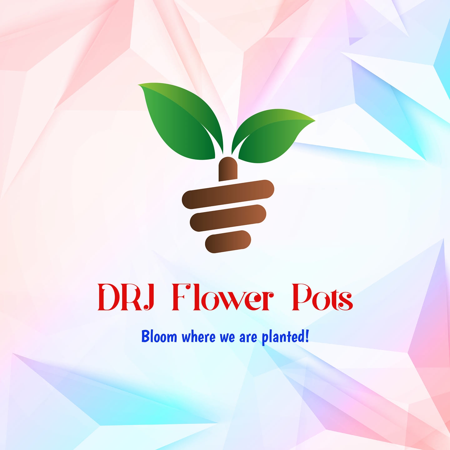 DRJ Flower Pots