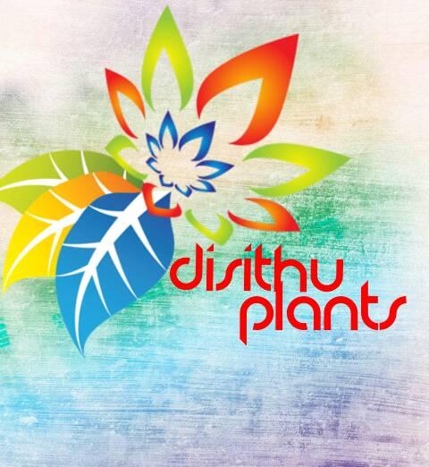 Desithu Plants