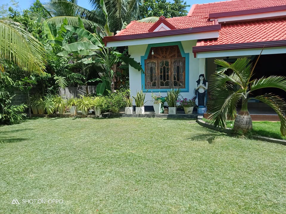 Dilki Landscaping and Garden Services