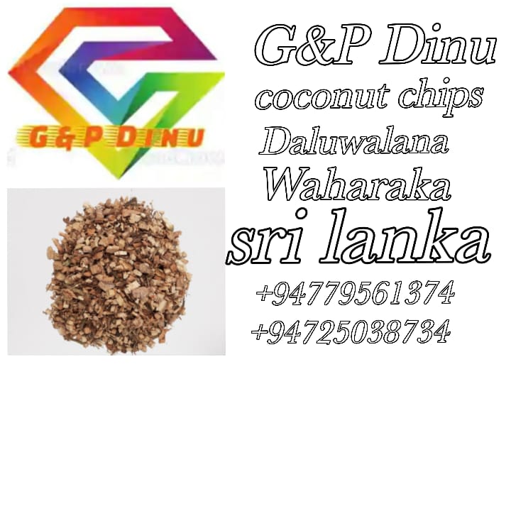 GandP Dinu