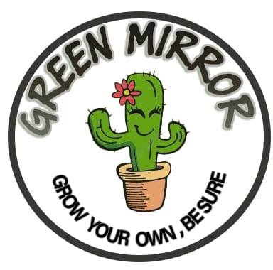 Green Mirror