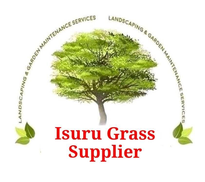 Isuru Grass Supplier