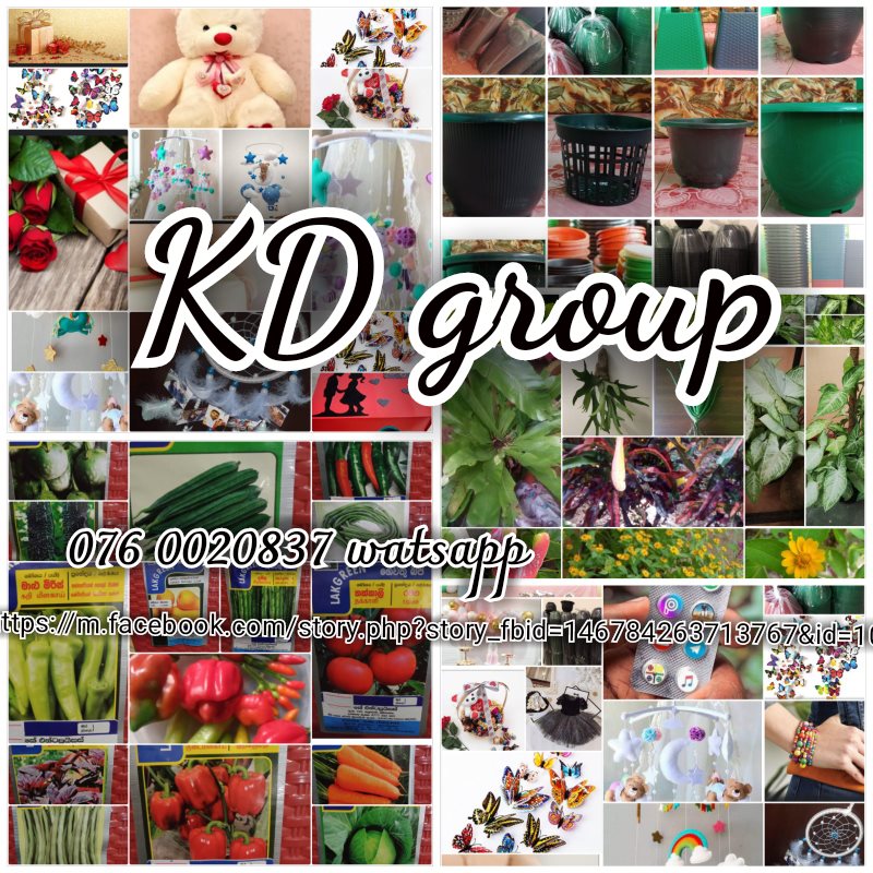 KD Group