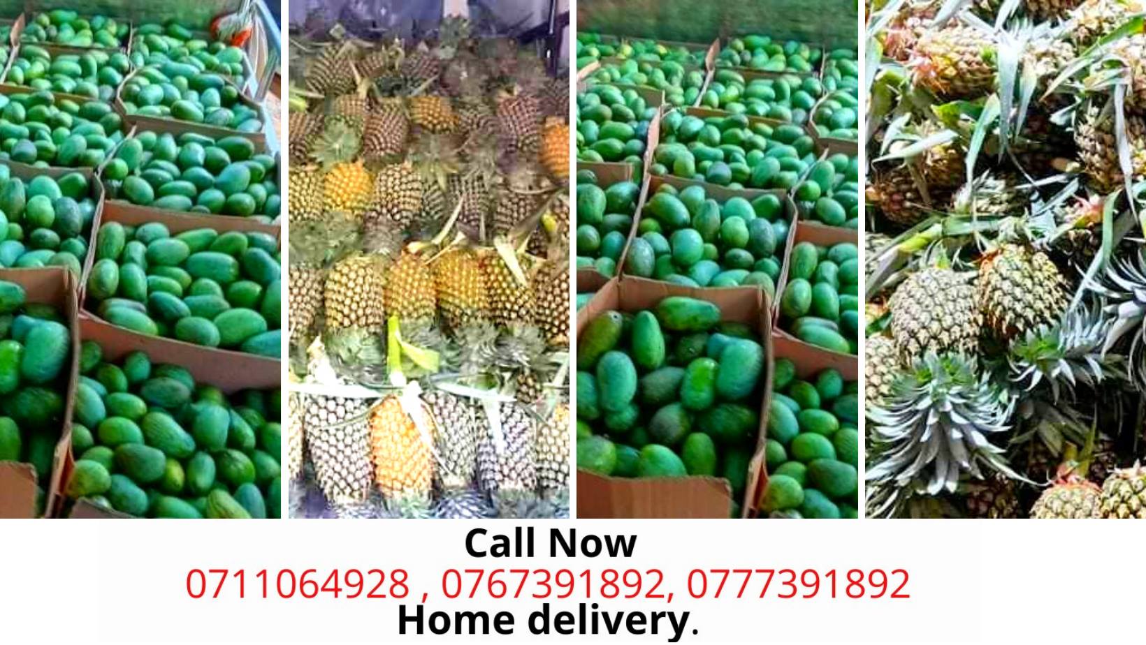 Kavee Fruits