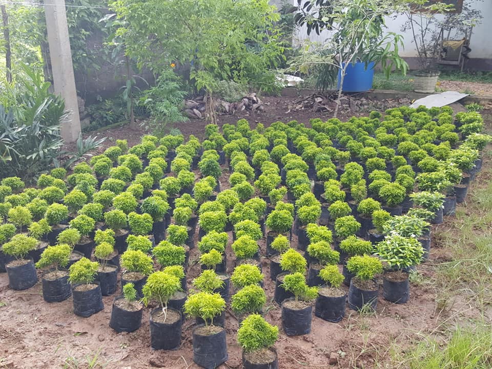 KithsiriDuminda 
