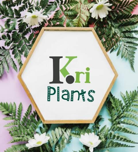 Krishanthi Plants