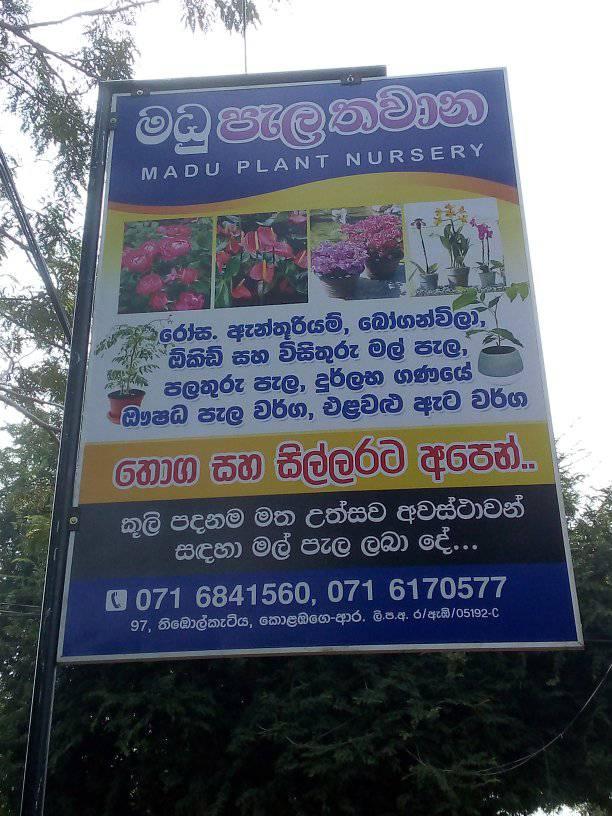 Madu Pela Thawana