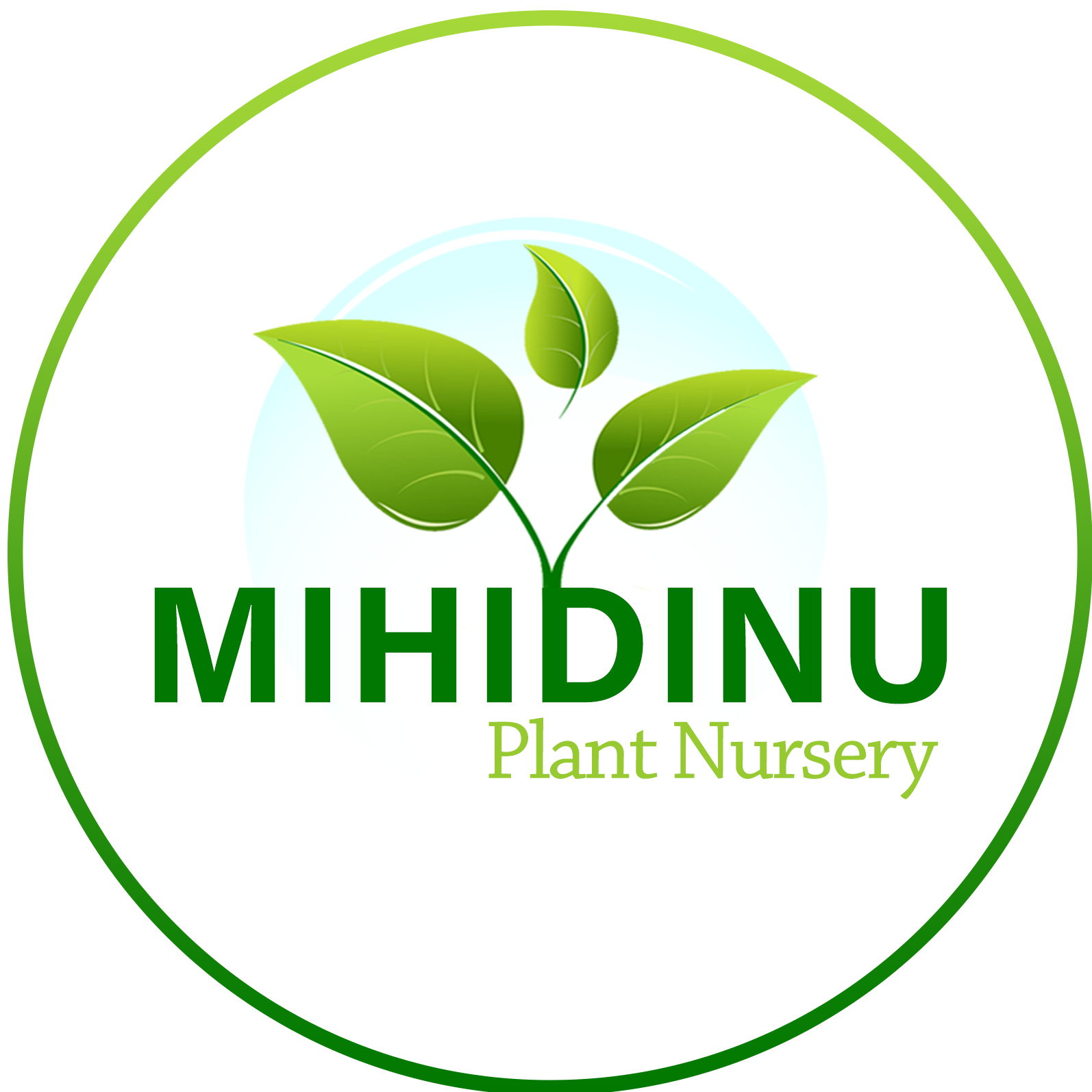 Mihidinu Plant Nursery