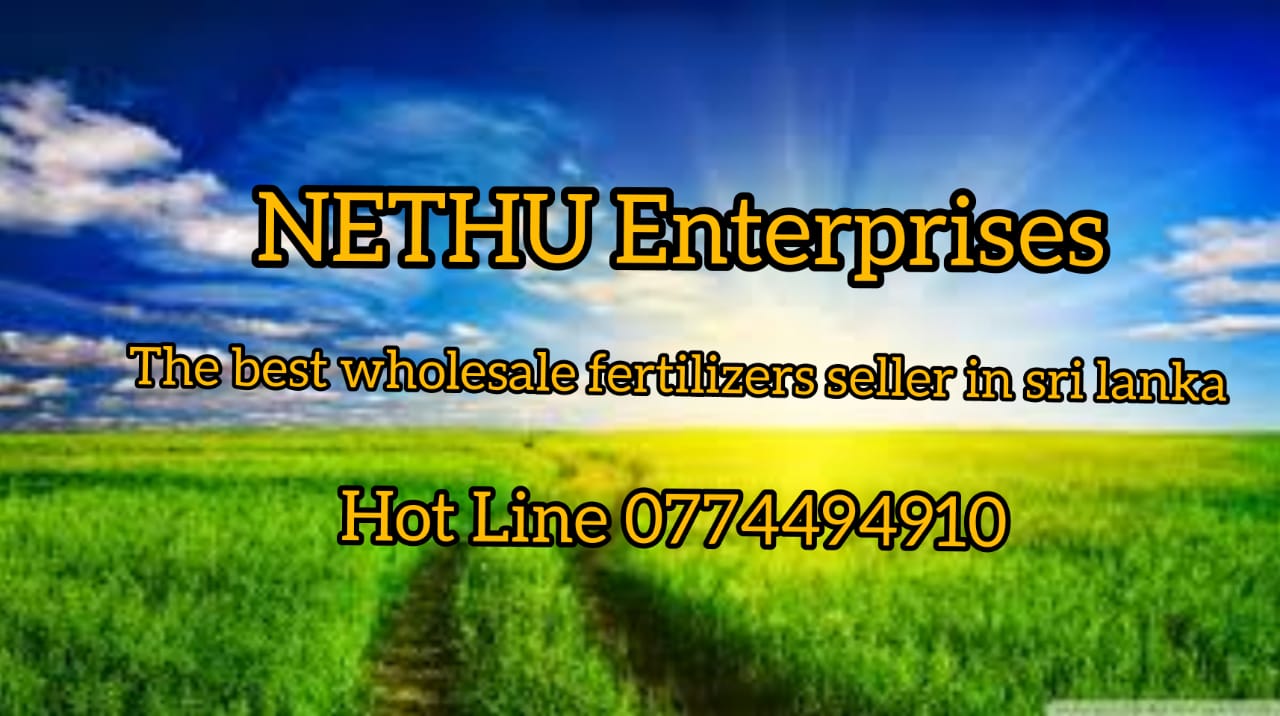 NETHU Enterprises