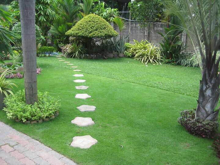 Nethu Lanka Garden Services