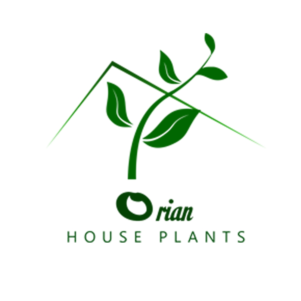 Orian House Plants
