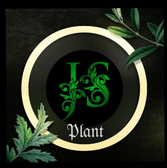 Plant Flower Js